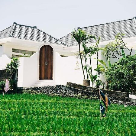 New Design Villa Casa Alma 3Bdr With Private Pool, Canggu Экстерьер фото
